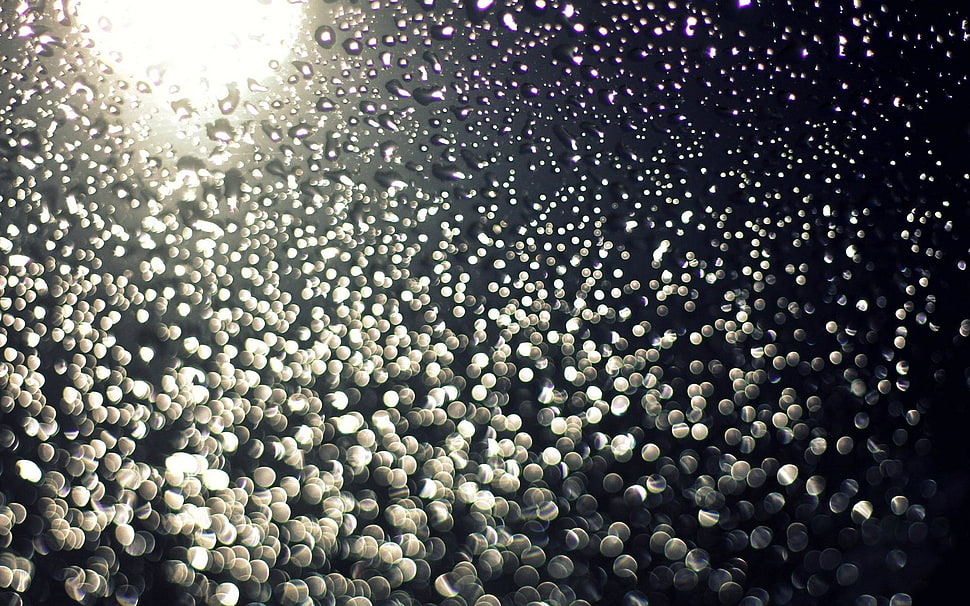 photography, bokeh, water drops HD wallpaper