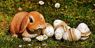 brown ceramic rabbit on green grass floor