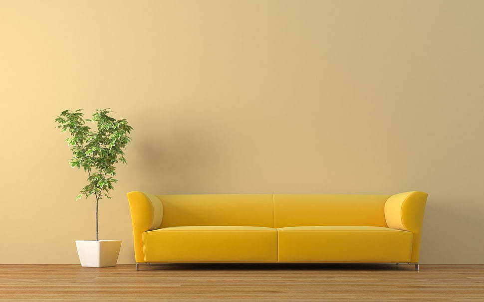 yellow sofa beside green fig plant HD wallpaper