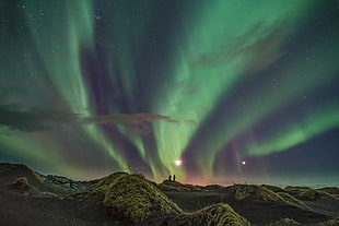 scenery of green Aurora during night, iceland