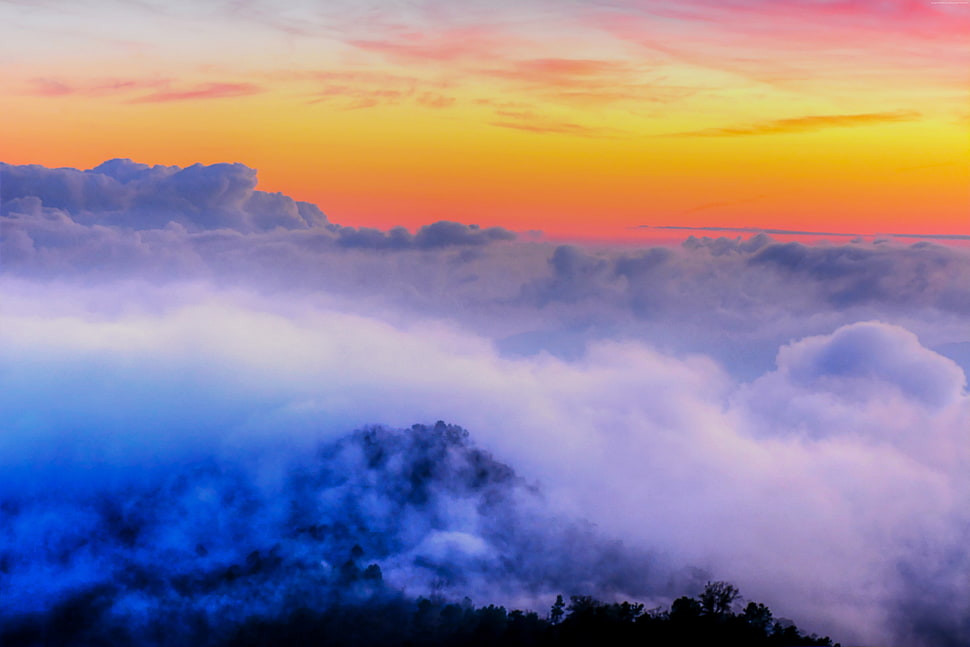 mountain covered by fog during daytime HD wallpaper
