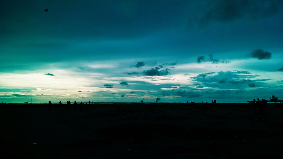 blue sky and white clouds, dark, sky HD wallpaper