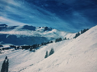 aerial photo of snow covered mountain