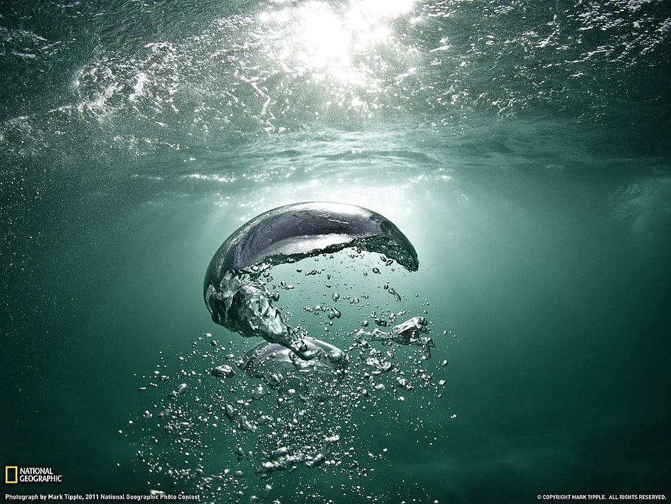 National Geographic book cover, water, sea, underwater, National Geographic HD wallpaper