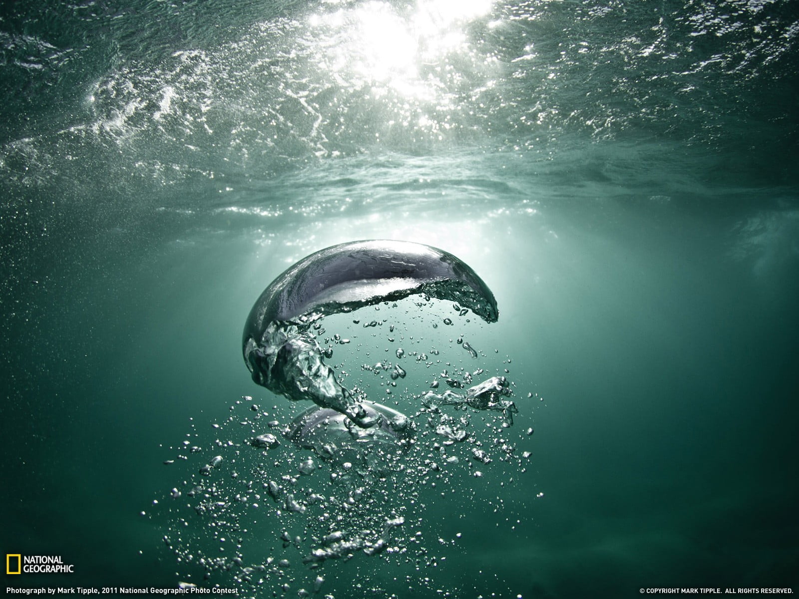 National Geographic book cover, water, sea, underwater, National Geographic