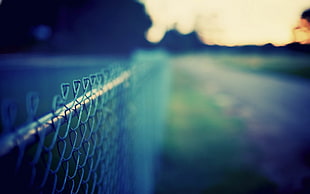selective focus photography of chain link fence, depth of field, fence, metal