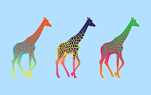 three assorted-colored giraffes illustrations