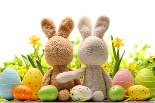two brown and gray rabbit plush toys