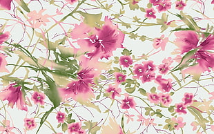 pink flowers digital wallpaper