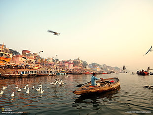 brown boat, Varanasi, India, National Geographic, cityscape HD wallpaper