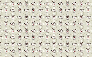 white Puppy wallpaper