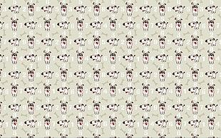 white Puppy wallpaper