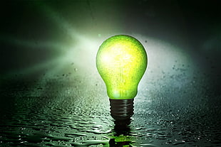 green light bulb, Lamp, Drops, Energy HD wallpaper