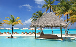 canopy with cogon roof, beach, palm trees, sea HD wallpaper