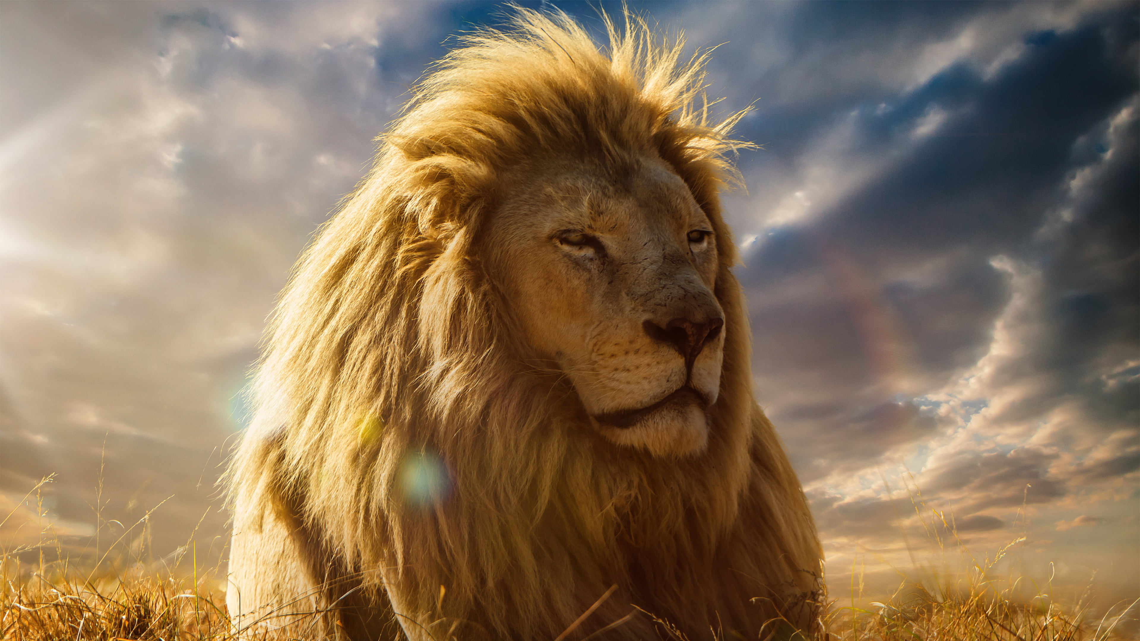 Aslan NARNIA 3 - the lion by ozlemcan69