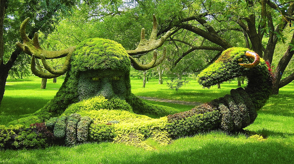 man's profile green plant artwork HD wallpaper