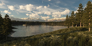 photography of body of water surrounded by trees HD wallpaper