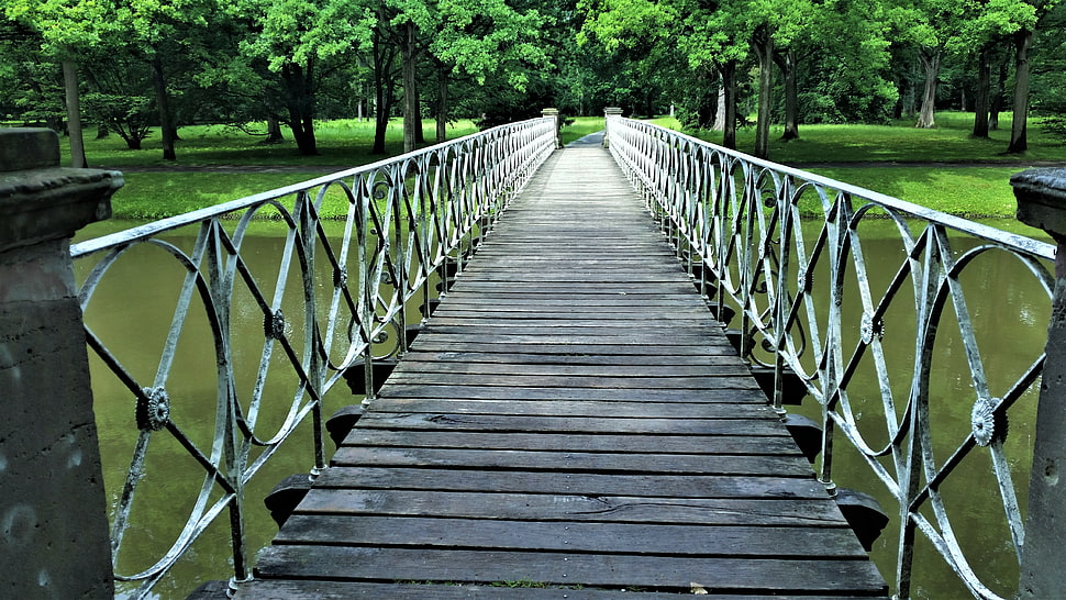 empty pathway with gray metal fence HD wallpaper