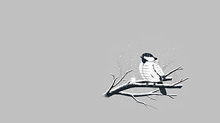 black and white bird on tree trunk painting, birds, jacket, minimalism, animals