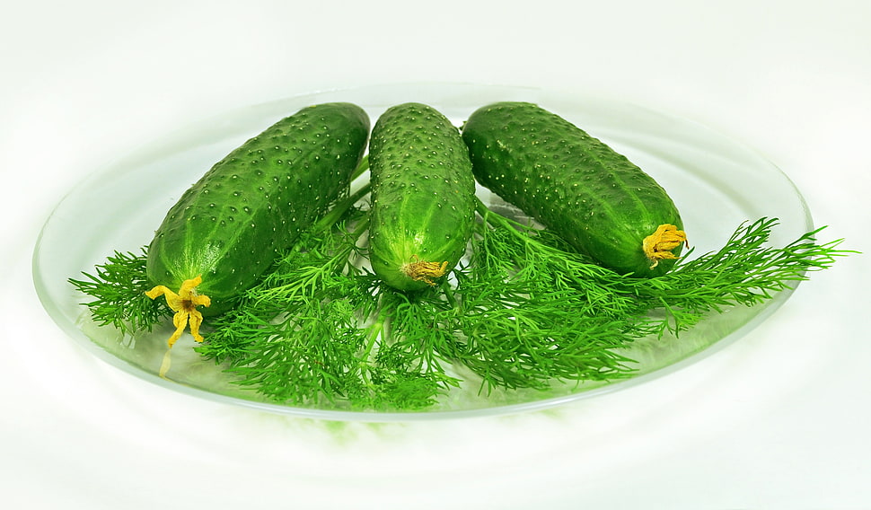 three cucumbers on clear glass plate HD wallpaper