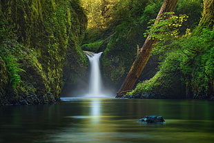 waterfalls, water, green, nature, waterfall HD wallpaper