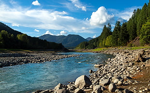rocks on the side of the river during daytime, santiam HD wallpaper