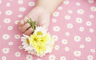 person holding a flowers HD wallpaper
