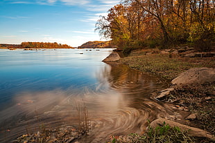 trees beside body of water under blue sky during daytime, susquehanna river HD wallpaper