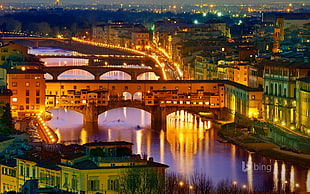 brown concrete bridge, city, Florence, Italy, bridge