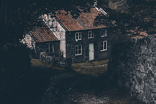gray and black concrete 2-storey house