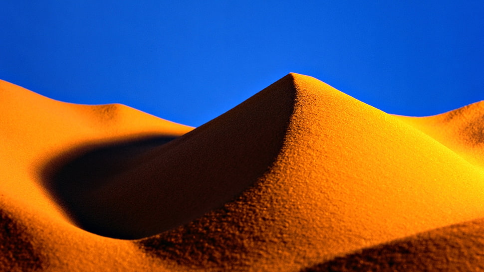 desert field under blue sky HD wallpaper