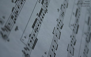 macro shot of music sheet