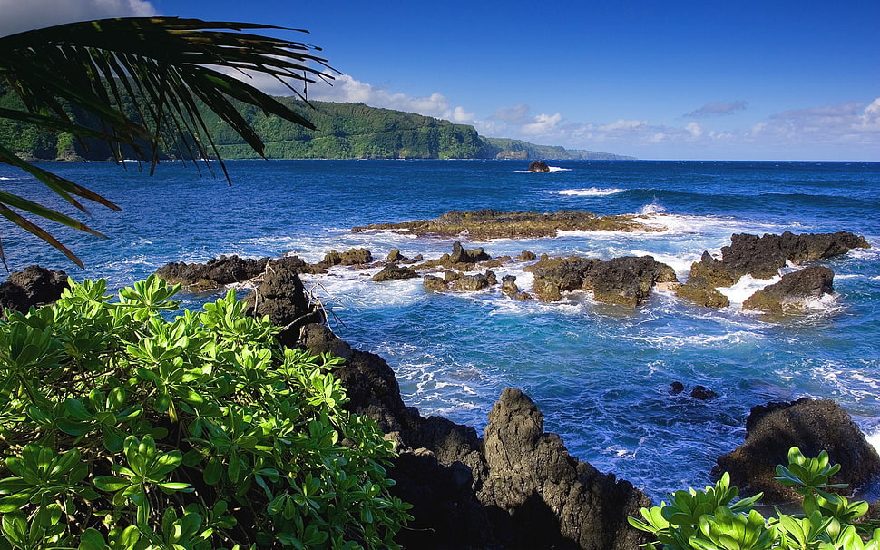 blue and white concrete house, Hawaii, sea, coast, island HD wallpaper