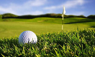 golf ball, golf, sports, balls, grass HD wallpaper