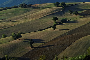 green hills, la marche, staffolo, italia HD wallpaper