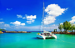 white catamaran, catamaran, boat, sea, sky HD wallpaper