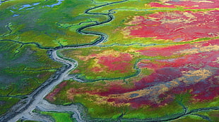 green, red, and blue area rug, landscape, river
