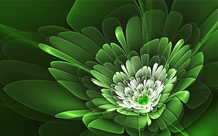 green and white illustration plant