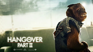 The Hangover Part II movie poster, movies, Hangover Part II