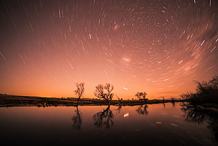 silhouette of trees, water, stars, trees, landscape