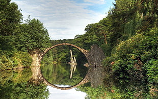 brown bridge near tall trees and river digital wallpaper, nature, reflection, bridge