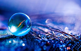photography of blue marble