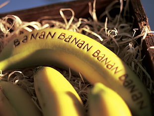 banana fruits HD wallpaper