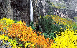 painting of flowing waterfalls surrounded by flowers HD wallpaper