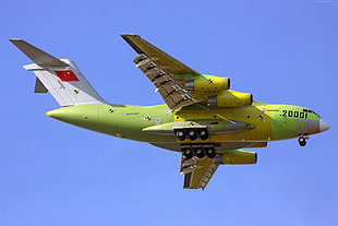 green and yellow Turkish 20001 airliner photo