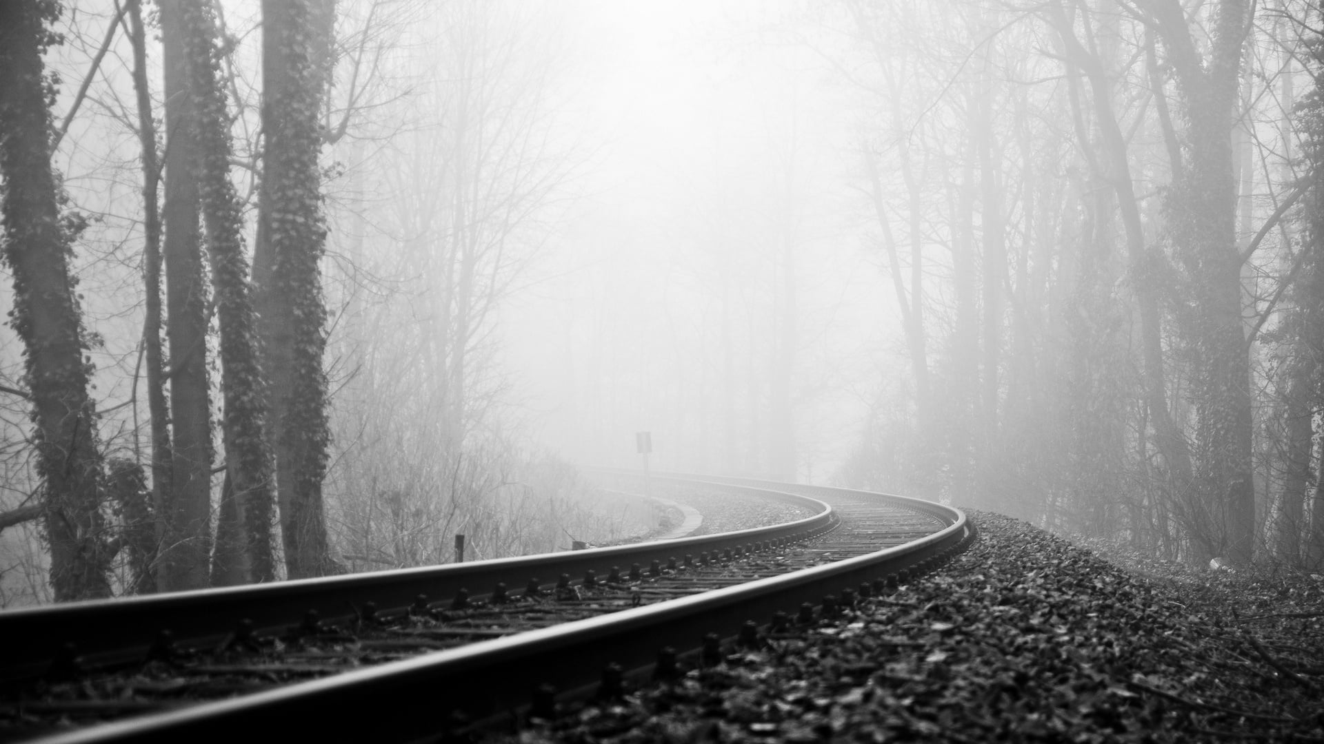 grayscale photo of foggy train rail near trees