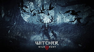 The Witcher Wild Hunt HD wallpaper, The Witcher, The Witcher 3: Wild Hunt HD wallpaper