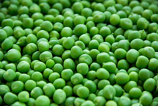 green rounds fruits macro photography