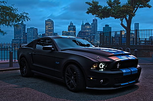 black Ford Mustang, car, vehicle