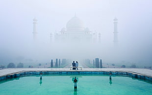 Taj Mahal, landscape, nature, mist, Taj Mahal